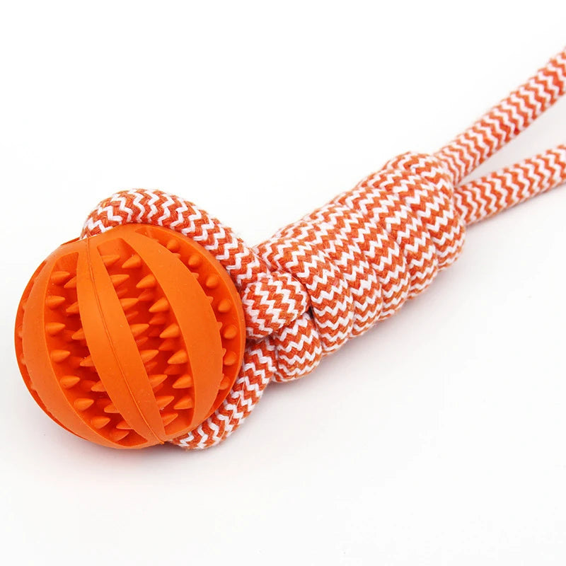 Pet Tooth Cleaning Chew Ball