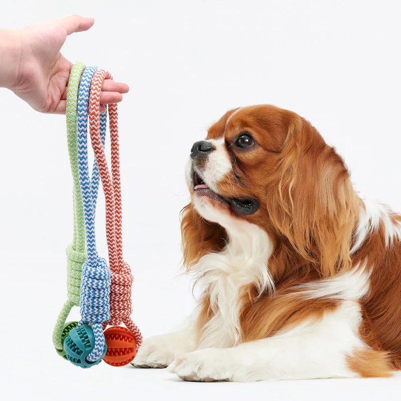 Pet Tooth Cleaning Chew Ball