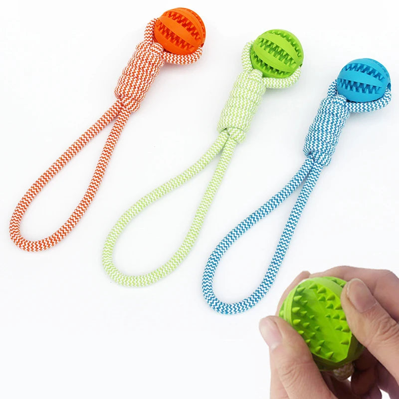 Pet Tooth Cleaning Chew Ball