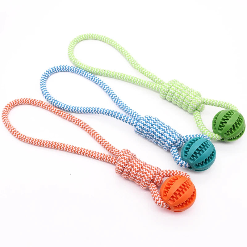 Pet Tooth Cleaning Chew Ball